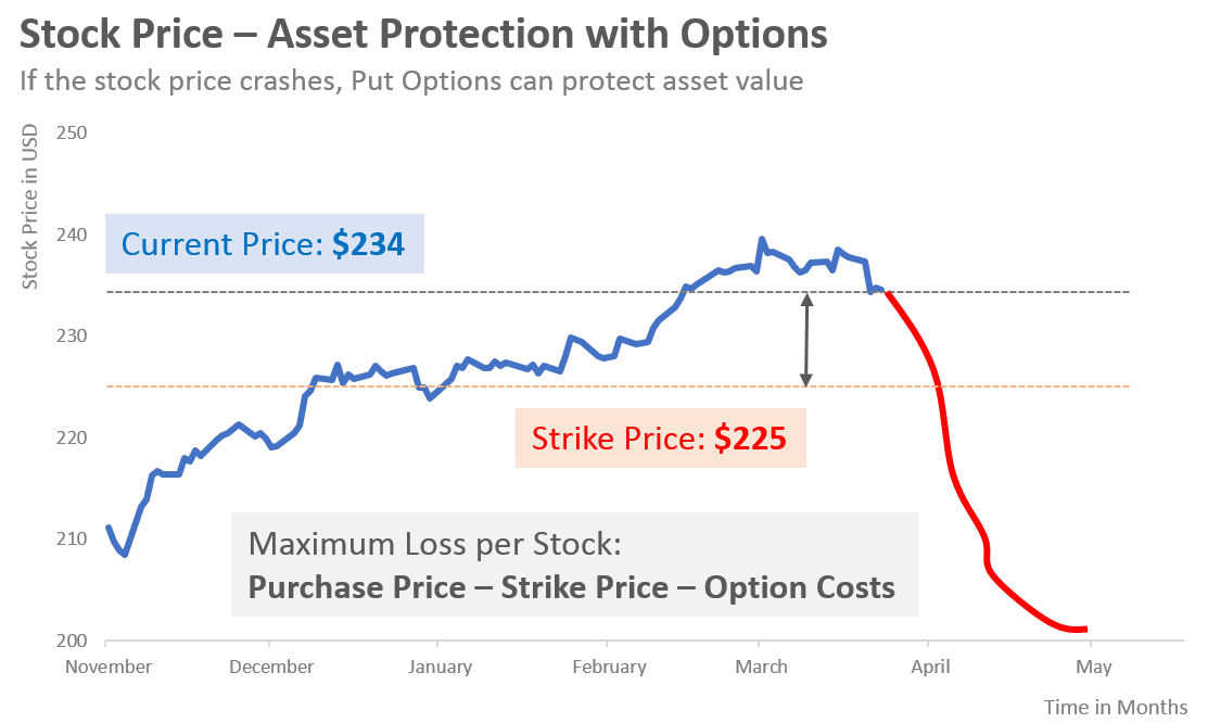 asset protection with options